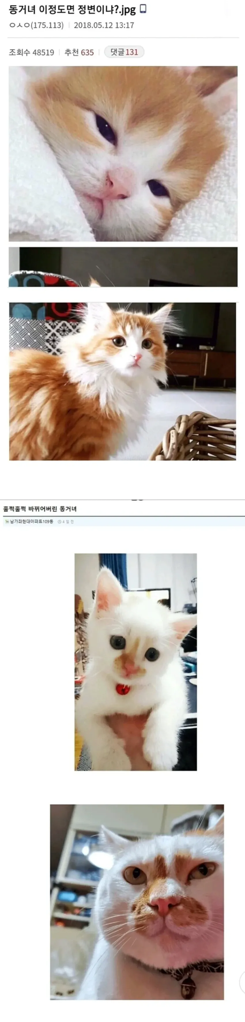 1.webp