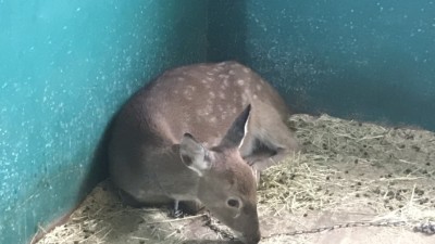 대관령 와인딩타고 강릉에 잠시