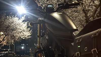 황만장-카페피트-집