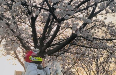 벌써 떨어지는게 넘 아쉽네요 ㅠㅡㅠ!!!