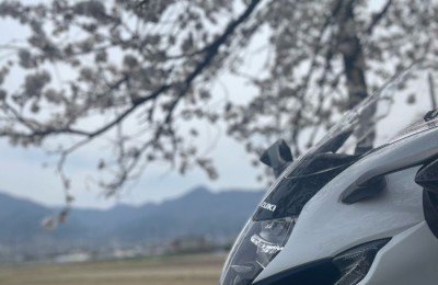 불x친구 라이더즈 벚꽃대전 참가