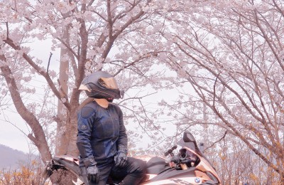 벚꽃대전!