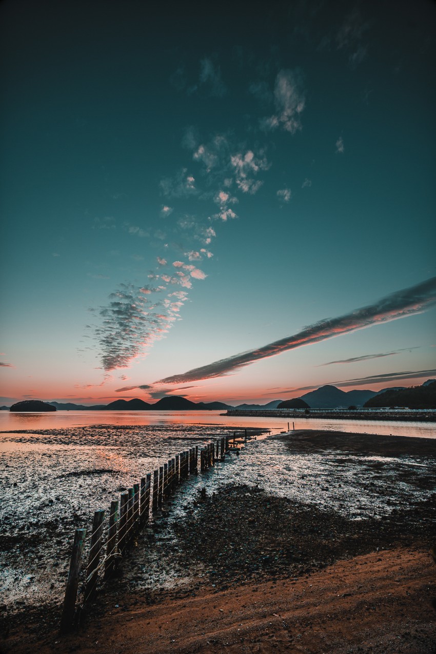 f2e091ea989d3485a1f024007f309a96c4ea9753bt6x.jpg