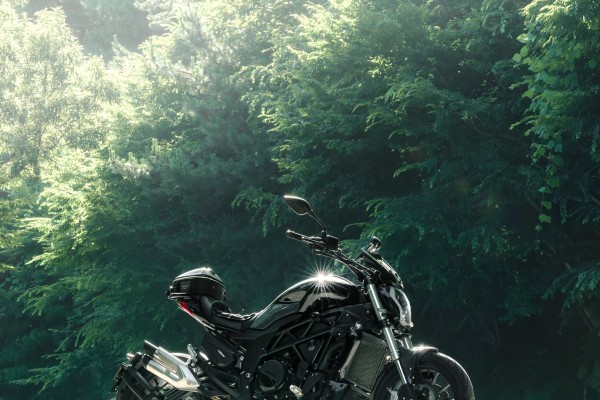 Benelli 502c - “Dazzle in the Humid Haze”