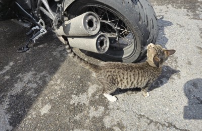 BIKERZ 에 감사를