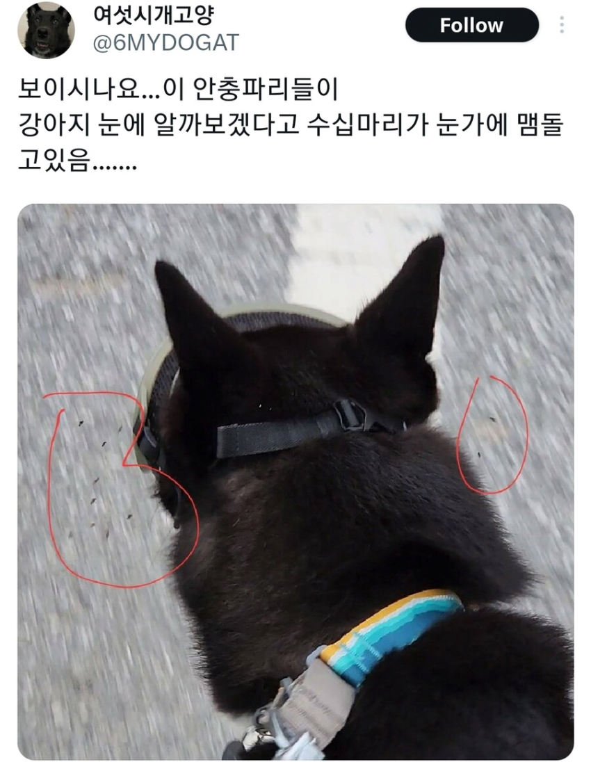 0943b8fd8d9164ca3eeb152920389db9a69230812njf.png