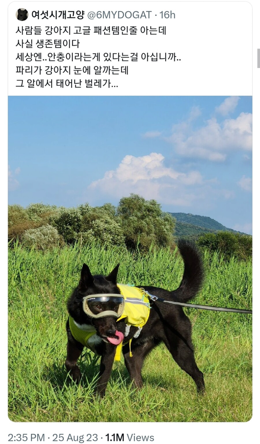 765442f9f611ce47de33542f754f5e2eec28b1a5cevu.png