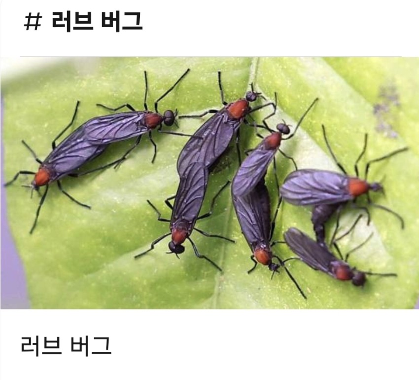 a5e0c6d75aca82a6e9626f454b0eac542e149ed15cfg.jpg