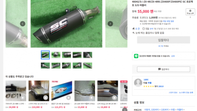 일본옥션에서 머플러 직구
