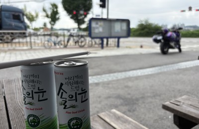 여름.. 입추가 지나고 끝난 것 같지 않나요?