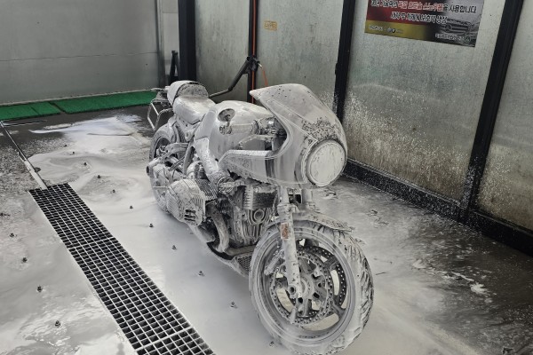 세차를 합시다 섹차섹차