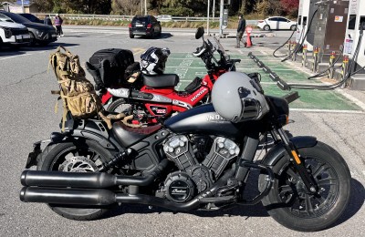 추위에 지지않아