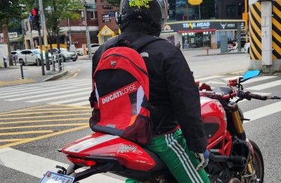 겨울이라 사진만 보고있네요