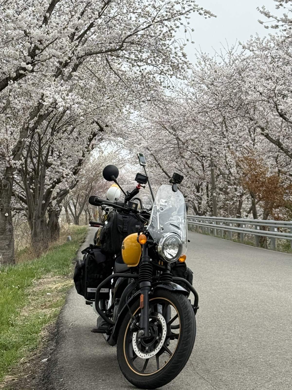 a7d227307b0f9bca3f5d37c9f9c61301b34bfff4b6p7.jpg