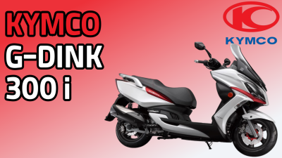 G-DINK 300i ABS