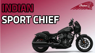 Sport Chief (스포트 치프)