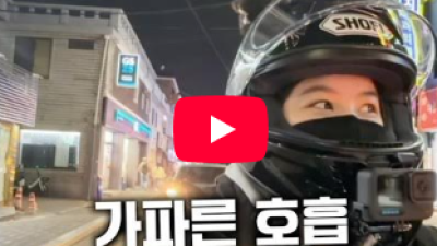 구렁이 전달했냐