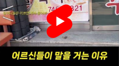 화지님 신규쇼츠