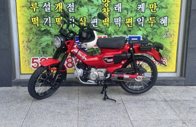흡연하다 초록빨강이 잘 어울리길래 도촬
