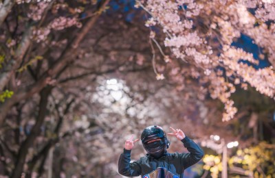 벚꽃대전 인스타 이벤트 보고 올려봅니다 ^^