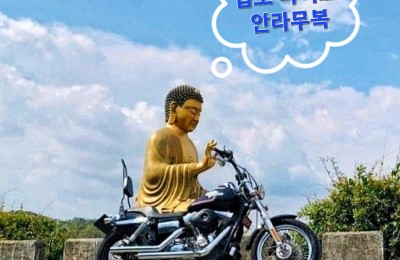 안라무복