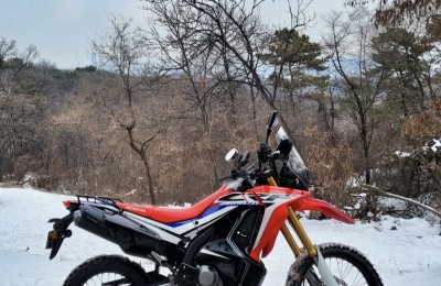 겨울이 기다려지네요