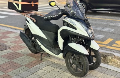 트리시티 실물 처음봤는데 트리시티는 제꿍안하나요??