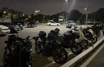 생존신고합니다