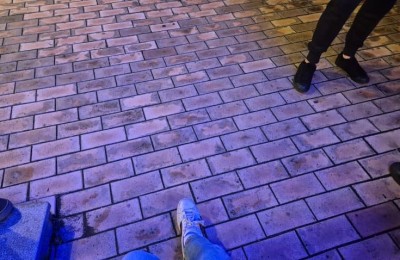 북악도 많이 사랑해줘