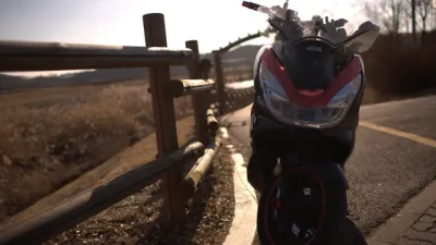 안산갈대습지공원 피돌이타고