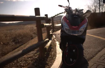 안산갈대습지공원 피돌이타고