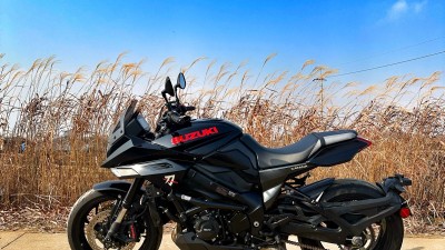 겨울 오기 전 갈대밭에서