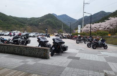 한창 시즌이던 합천 모토라드