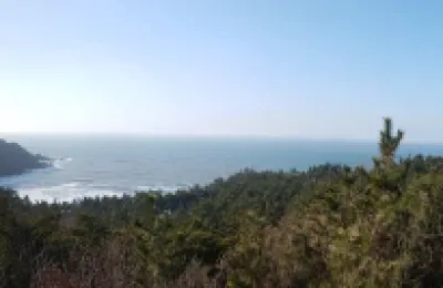 저만 아는(?) 태안 가는 길