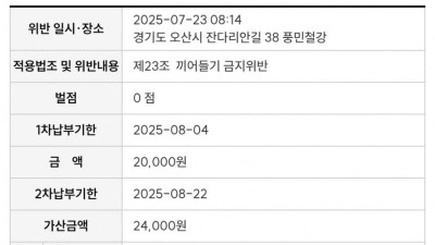 바이크 차간 주행 신고당한다면